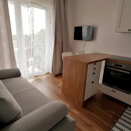 Przytulny Z Parkingiem Apartment Gdansk